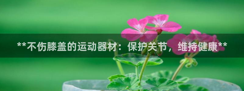 意昂3科技：**不伤膝盖的运动器材：保护关节，维持健