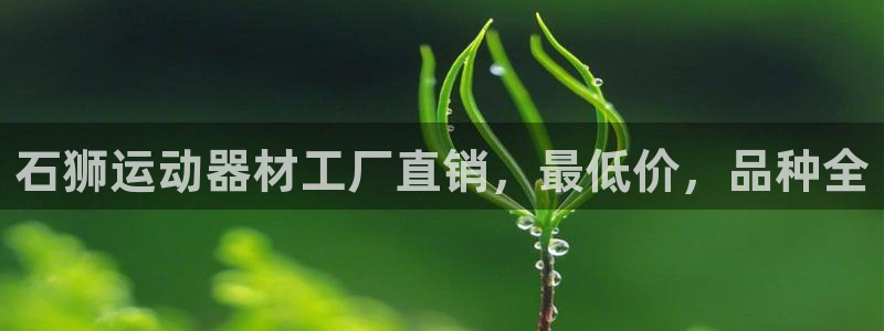 意昂3集团logo：石狮运动器材工厂直销，最低价，品