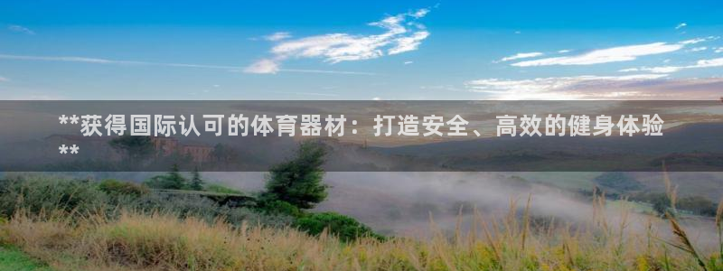 意昂3集团简介:**获得国际认可的体育器材:打造安全、高效的