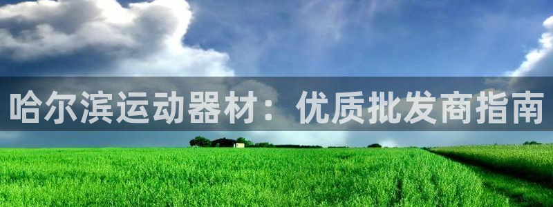 意昂3集团E.ON:哈尔滨运动器材:优质批发商指南